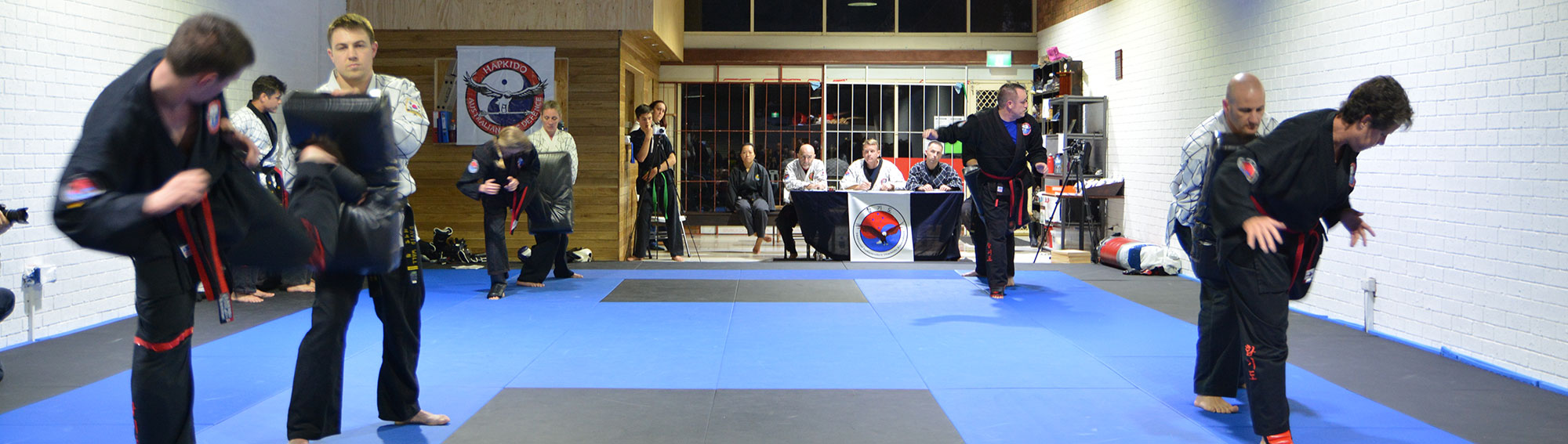 hapkido martial arts training